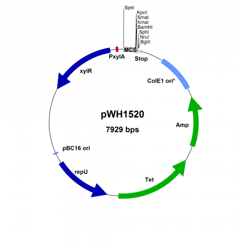 BMEG03 Vector Map